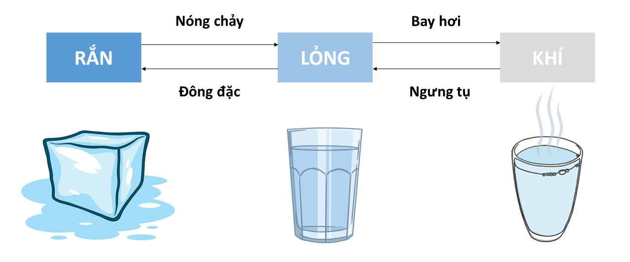Quy Trình Sản Xuất Nước Đá Viên Tinh Khiết 5 Bước 8 Nhìn vào hình vẽ để định nghĩa các quá trình: nóng chảy, đông đặc, bay hơi, ngưng tụ. Sự sôi khác gì so với sự bay hơi? Lấy ví dụ.